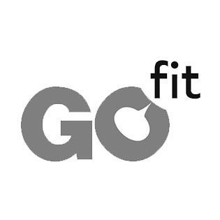  Go Fit 